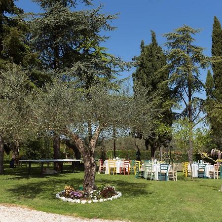 Bed&Breakfast Il Frantoio Misano Adriatico Dış mekan fotoğraf